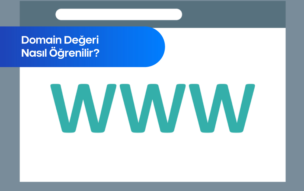 Domain Değeri Sorgulama