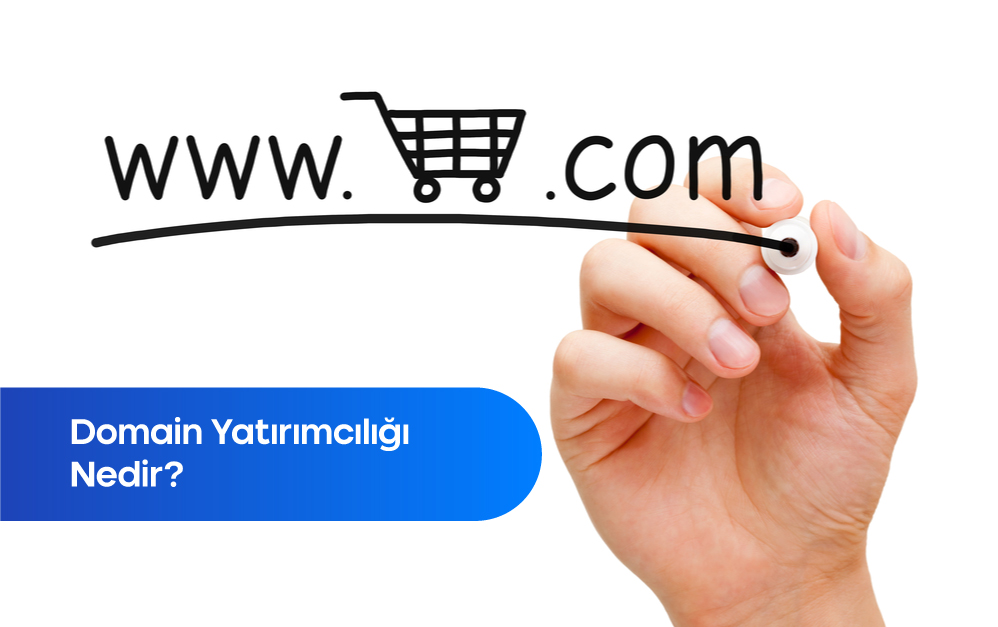 domain yatırımcılığı nedir?